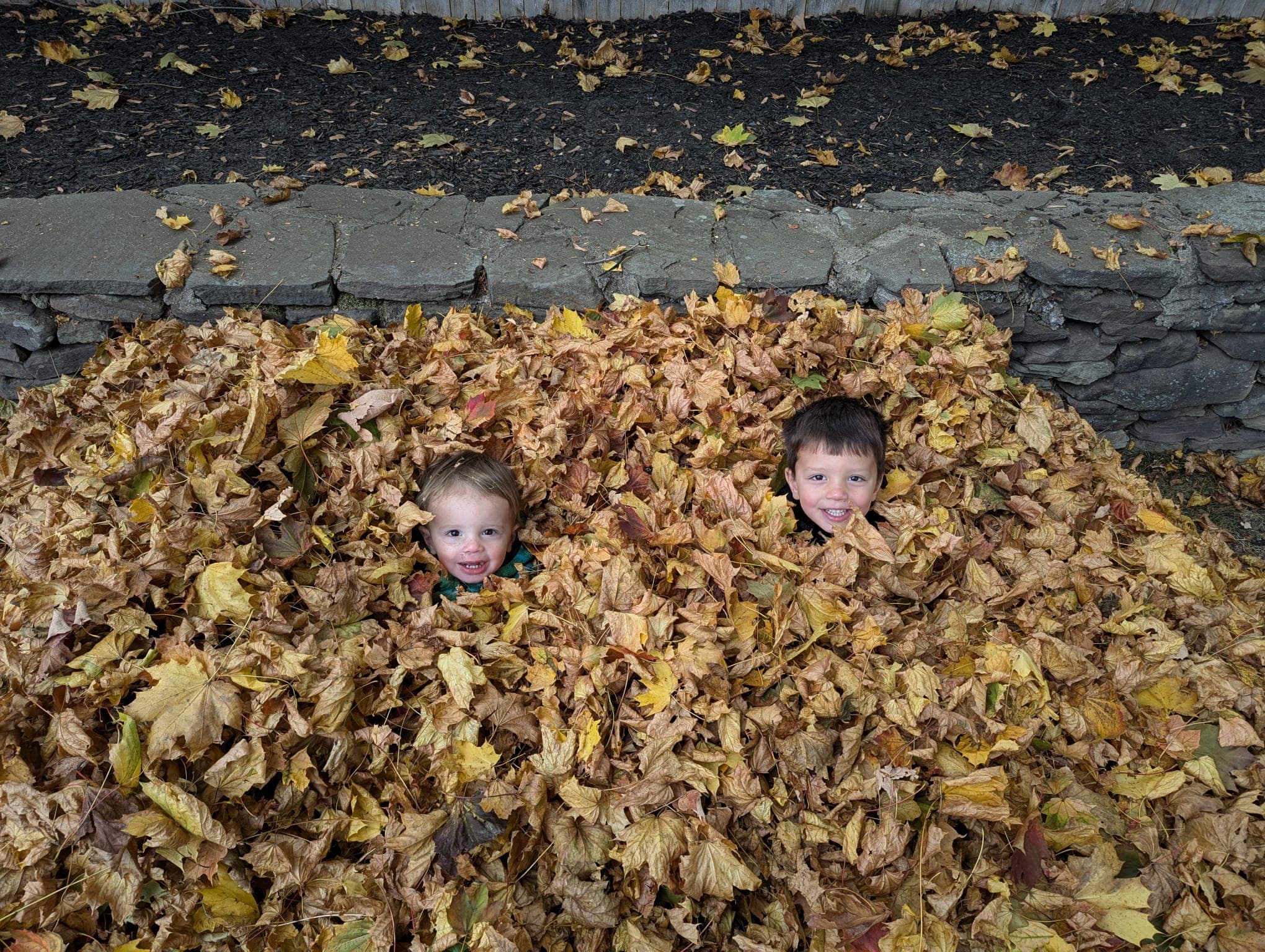 two boys playing in a pile of leaves