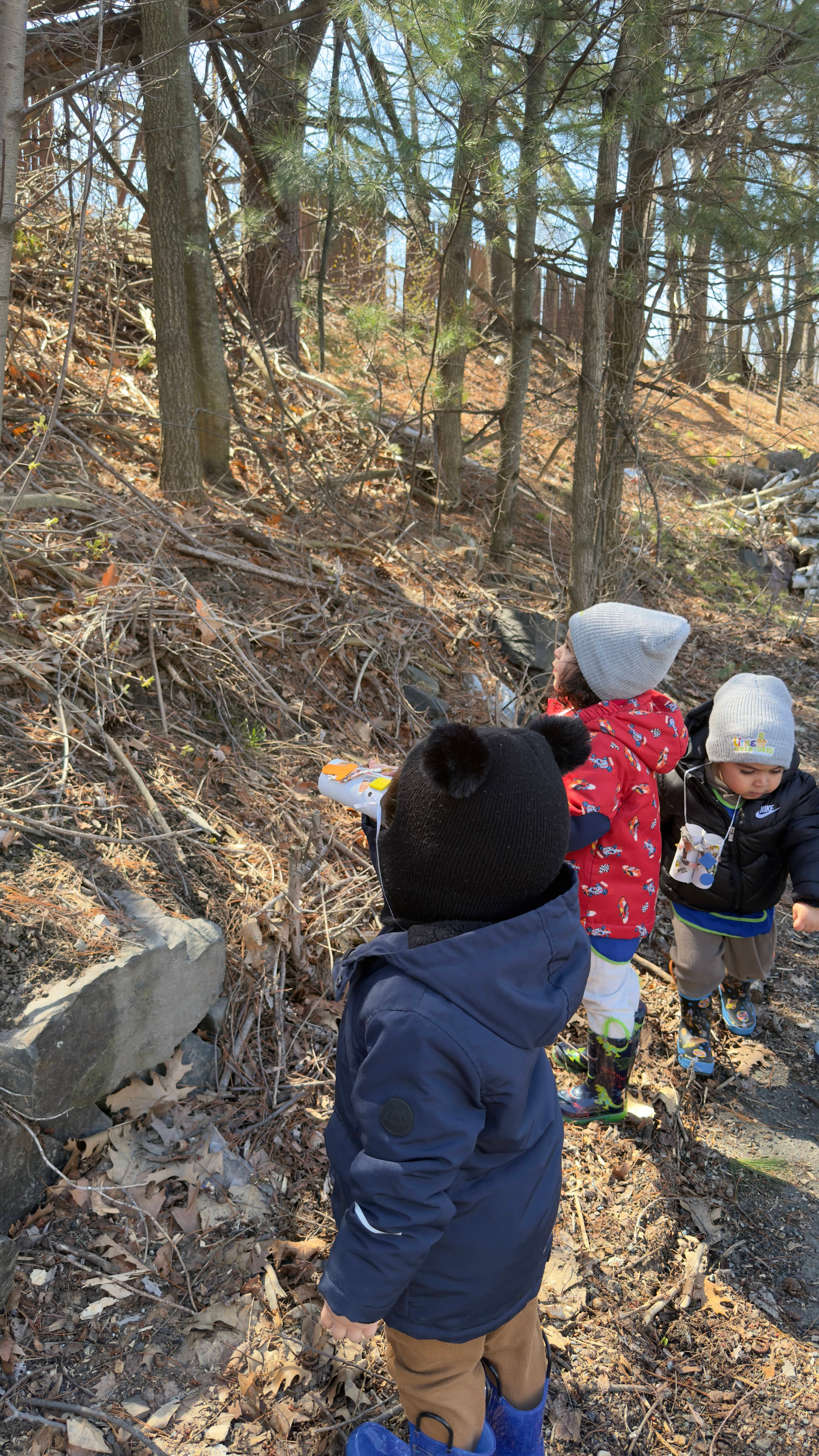 children observing nature in the woods